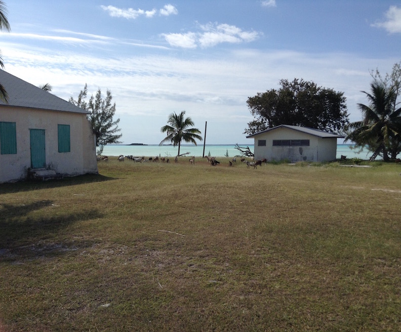 View of Port Howe, Cat Island Bahamas